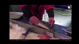 Teaser webdoc baie de somme