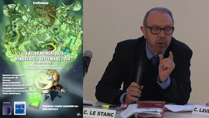 Les biens numériques