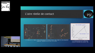 Etude électro-mécanique des interfaces rugueuses