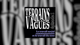 (Podcast) Terrains Vagues - Episode 1:  Le travail social communautaire et le travail du sexe
