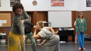 D.U. Danse : Conduite de pratiques chorégraphiques en milieu scolaire et périscolaire