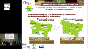 Des agroressources à la bioéconomie