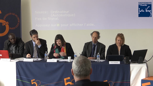 Justice Fiscale - Audrey Rosa